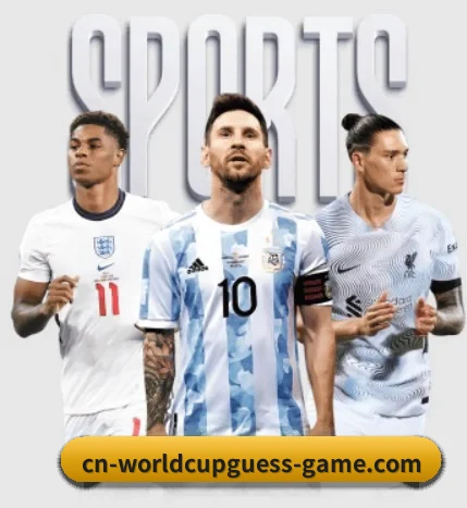 五大服务分区,信息按项目分类 - 多运动项目内容板块